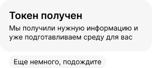 Введите токен Wildberries